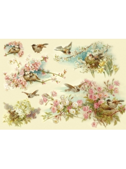 Рисовая бумага для декупажа Птицы и цветущие деревья Stamperia DFS145, 33x48 см