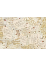 Рисовая бумага для декупажа Stamperia DFS348 "Цветы и ноты", 33x48 см