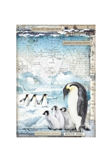 Рисовая бумага для декупажа Stamperia DFSA4479 "Пингвины", формат А4
