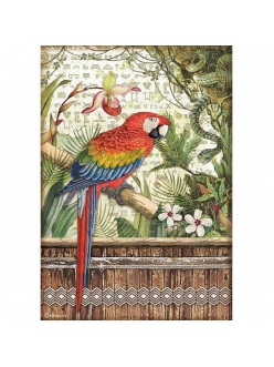 Рисовая бумага для декупажа Амазония - попугай, Stamperia формат А4