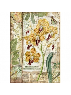 Рисовая бумага для декупажа Амазония - орхидея, Stamperia формат А4