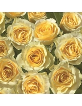 Салфетка для декупажа SDOG011001 "Желтые розы", 33х33 см, POL-MAK