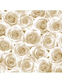 Салфетка для декупажа Розы кремовые, 33х33 см, POL-MAK