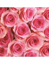 Салфетка для декупажа SLOG028801 "Розы розовые", 33х33 см, POL-MAK