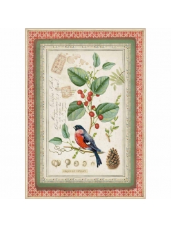 Новогодняя рисовая для декупажа Зимняя ботаника, птица, Stamperia формат А4