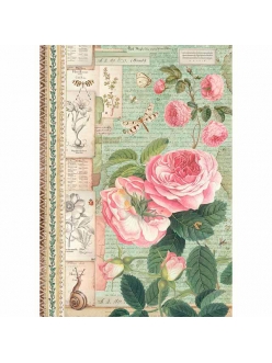 Рисовая бумага для декупажа Ботаника, английские розы и насекомые, Stamperia формат А4