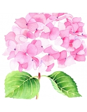Салфетка для декупажа "Гортензия розовая", 33х33 см, Германия