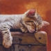 Салфетка для декупажа Спящий котенок, 33х33 см, Германия