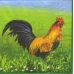 Салфетка для декупажа Петух и курица, 33х33 см, Ambiente, Голландия