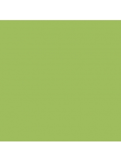 Краска-грунт акриловая DSK0300 Зеленое яблоко, 40 мл, Италия
