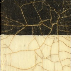 Кракелюрный двушаговый лак Crackle Varnish, 120х2 мл, Cadence