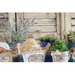 Краска с эффектом ржавчины Rusty Patina 04 серый, 150 мл, Cadence