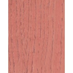 Бейц-морилка на водной основе, цвет вишня, 60 мл, Daily ART (Литва)