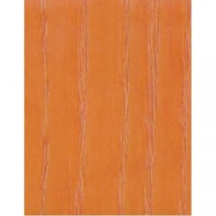 Бейц-морилка на водной основе, цвет медовый, 120 мл, Daily ART (Литва)