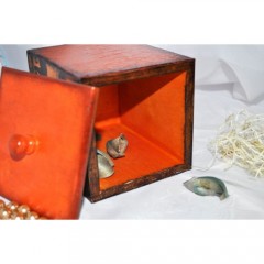 Бейц-морилка на водной основе, цвет медовый, 120 мл, Daily ART (Литва)