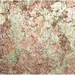 Поталь в хлопьях золото медь 2 гр, Daily ART (Литва)