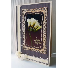 Набор заготовок для открыток с конвертами, 14,8х21,0 см, кремовый, ANITA'S, 25 шт