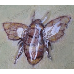 Лак 3D Clear Gloss, прозрачный глянцевый, тюбик с узким носиком, 25 мл, Docrafts (Великобритания)