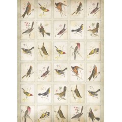 Набор бумаги для скрапбукига, коллекция Nature's Gallery, А4, 32 листа, Papermania