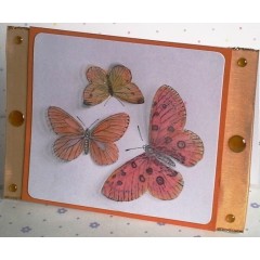 Штамп резиновый на пластиковой основе PMA 803302 "Бабочки" Papermania, 94х105 мм