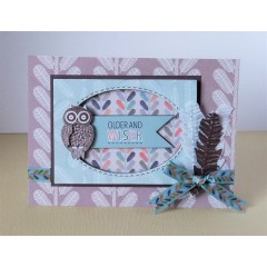 Набор бантиков Owl Folk, 12 штук, DoCrafts