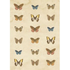 Набор бумаги для скрапбукига Nature's Gallery, А5, 32 листа, Papermania 