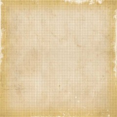 Бумага для скрапбукинга двусторонняя Simple Stories Documented Damask Ledger/Grid, 30х30 см