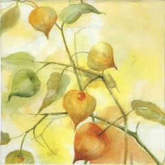 Салфетка для декупажа IHR-201295 "Физалис", 33х33 см, Германия