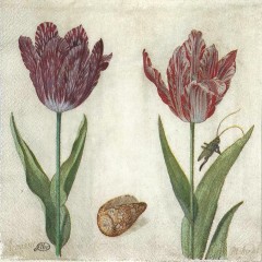 Салфетка для декупажа, IHR-501360, "Старинные тюльпаны", 33х33 см, Германия