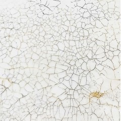 Кракелюрный лак Шеллачный, 2х55 мл, Италия