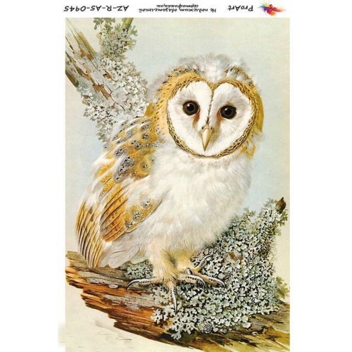 Рисовая бумага для декупажа Сова, формат А5, ProArt 
