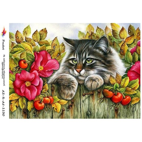 Рисовая бумага для декупажа Кот и шиповник, формат А5, ProArt 