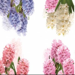 Салфетка для декупажа SDWI003101 "Геацинты", 33х33 см, POL-MAK