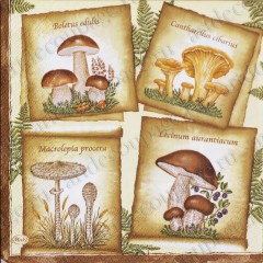 Салфетка для декупажа SLOG014901 "Грибы и надписи", 33х33 см, Германия