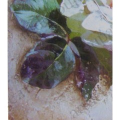 Паста для создания эффекта фрески "Pasta affresco", 150 мл, Stamperia