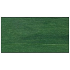 Краска - спрей "Aquacolor Spray "для техники "Mix Media" темно-зеленый, 60 мл, Stamperia (Италия)