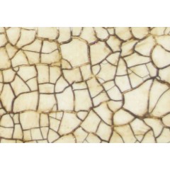 Кракелюрный лак "Crackle Medium Super Glossy" двухкомпонентный, Stamperia, 2х80 мл