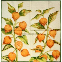 Салфетка для декупажа "Физалис", 33х33 см, Голландия