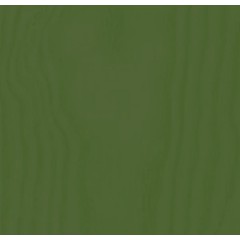 Концентрат водной морилки Позитивный бейц Бакаут, 50 мл, Италия