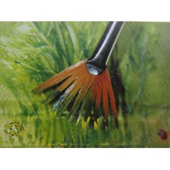 Кисть веерная синтетическая № 4, Stamperia (Италия)