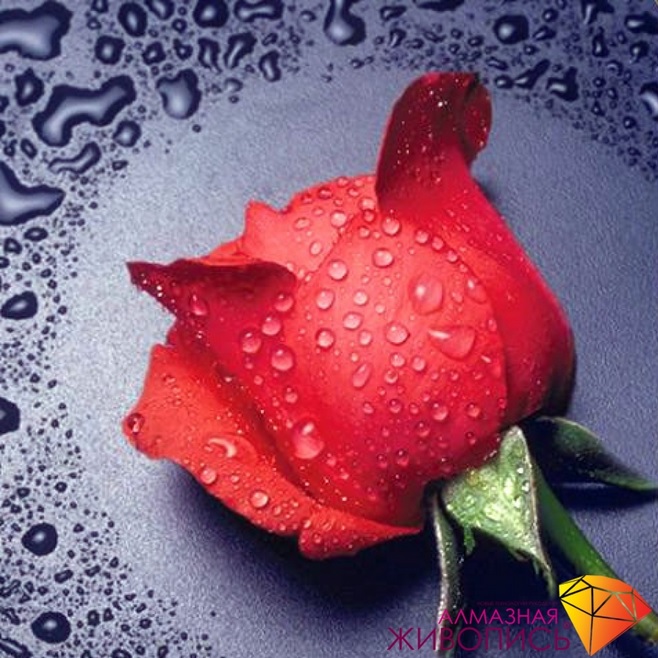 Картина стразами Красная роза Алмазная живопись