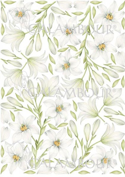 Рисовая бумага для декупажа Calambour Pau Белые цветы