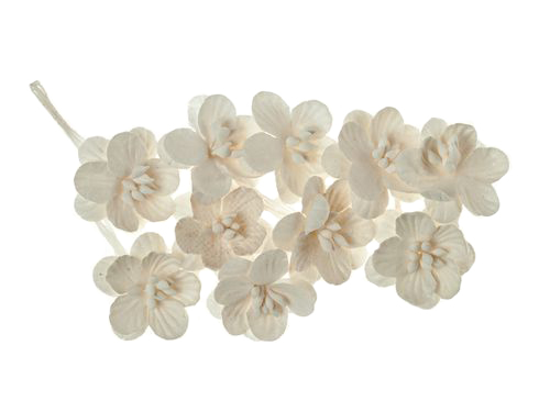 Бумажные цветы вишни белые для скрапбукинга, флористики, топиария, купить