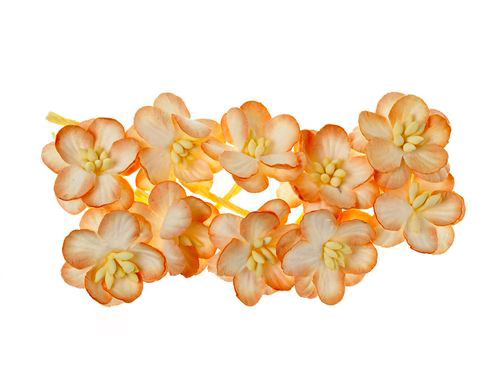 Бумажные цветы вишни персиковые для скрапбукинга, флористики, топиария, купить