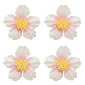 Бумажные цветы плюмерия белая  с розовым для скрапбукинга и декора, купить