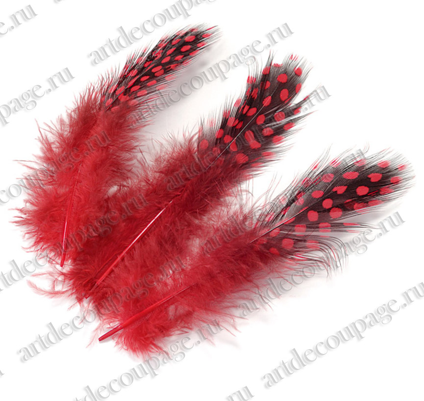 Декоративные перья цесарки  карминно красные, натуральное перо для декора, купить