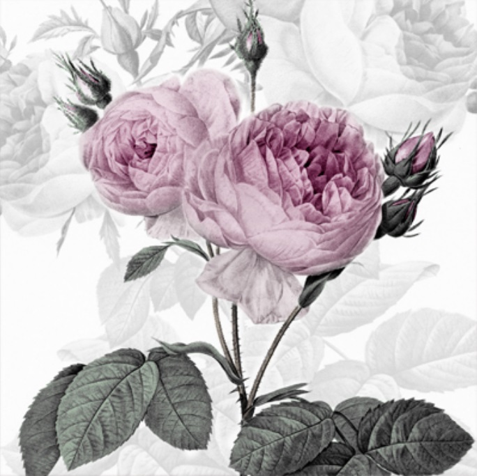 Салфетки для декупажа Лиловые розы Sagen Vintage Design купить