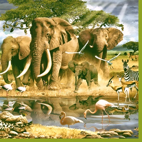 Декупажные салфетки, Африка, слоны, водопой купить