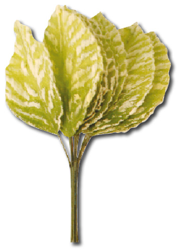 Декоративные зеленые листья для флористики и декорировния, Stamperia